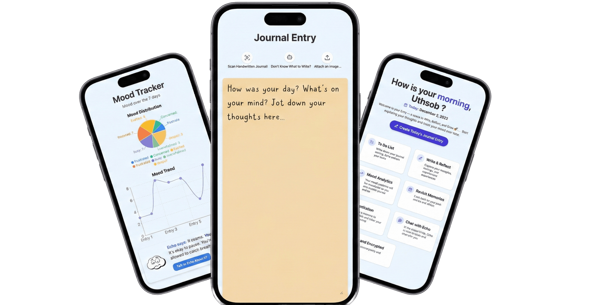 Echo App Interface