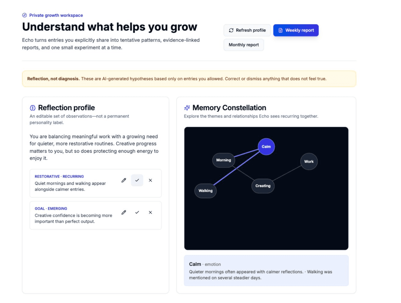 Current Echo growth workspace with an editable profile and Memory Constellation
